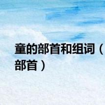 童的部首和组词（童的部首）