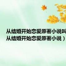 从结婚开始恋爱原著小说叫什么（从结婚开始恋爱原著小说）