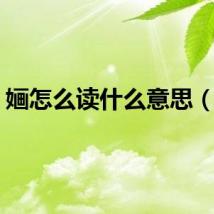 婳怎么读什么意思（婳）