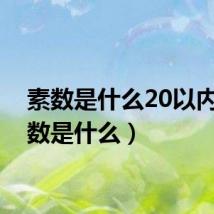 素数是什么20以内（素数是什么）