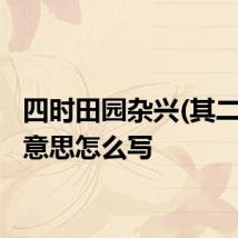 四时田园杂兴(其二十五)意思怎么写