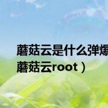 蘑菇云是什么弹爆炸(蘑菇云root)
