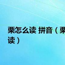 栗怎么读 拼音（栗怎么读）