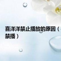喜洋洋禁止播放的原因(喜洋洋禁播)