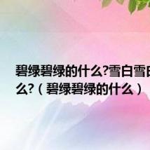 碧绿碧绿的什么?雪白雪白的什么?(碧绿碧绿的什么)