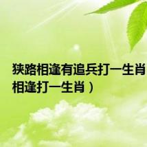 狭路相逢有追兵打一生肖（狭路相逢打一生肖）