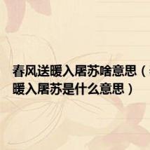 春风送暖入屠苏啥意思(春风送暖入屠苏是什么意思)