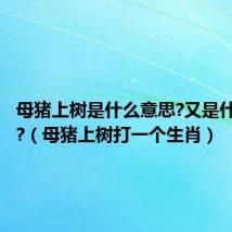 母猪上树是什么意思?又是什么生肖?(母猪上树打一个生肖)