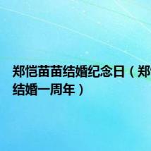 郑恺苗苗结婚纪念日（郑恺苗苗结婚一周年）