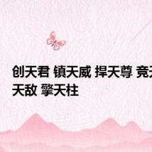 创天君 镇天威 捍天尊 竞天泽 御天敌 擎天柱