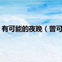 有可能的夜晚（曾可铁）