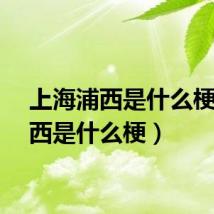 上海浦西是什么梗（浦西是什么梗）