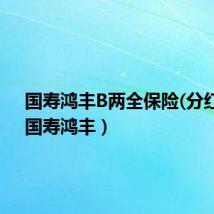 国寿鸿丰B两全保险(分红型)（国寿鸿丰）
