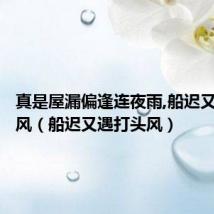 真是屋漏偏逢连夜雨,船迟又遇打头风(船迟又遇打头风)
