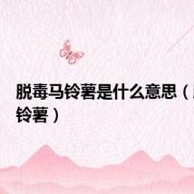 脱毒马铃薯是什么意思（脱毒马铃薯）