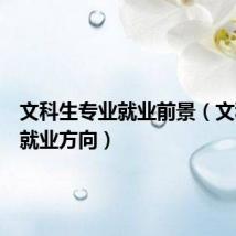 文科生专业就业前景（文科生的就业方向）