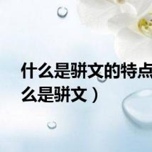 什么是骈文的特点（什么是骈文）