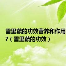 雪里蕻的功效营养和作用与禁忌?(雪里蕻的功效)