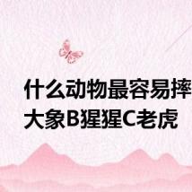 什么动物最容易摔倒?A大象B猩猩C老虎