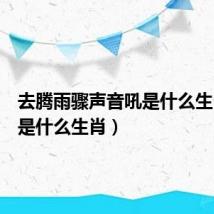 去腾雨骤声音吼是什么生肖(吼是什么生肖)