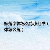 鲸落字体怎么练小红书(鲸落字体怎么练)