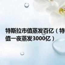 特斯拉市值蒸发百亿(特斯拉市值一夜蒸发3000亿)