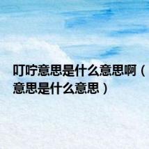 叮咛意思是什么意思啊（叮咛的意思是什么意思）