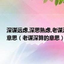 深谋远虑,深思熟虑,老谋深算的意思(老谋深算的意思)