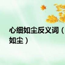 心细如尘反义词（心细如尘）