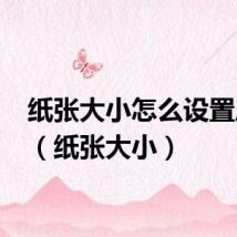 纸张大小怎么设置成A4（纸张大小）