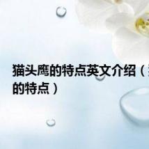 猫头鹰的特点英文介绍(猫头鹰的特点)