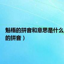 魁梧的拼音和意思是什么(魁梧的拼音)