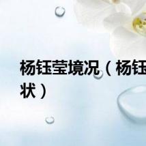 杨钰莹境况（杨钰莹现状）
