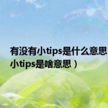 有没有小tips是什么意思（一个小tips是啥意思）
