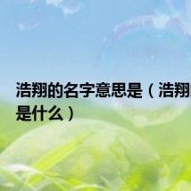 浩翔的名字意思是（浩翔的意思是什么）