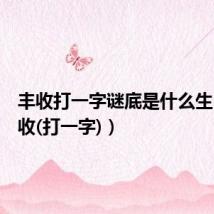 丰收打一字谜底是什么生肖（丰收(打一字)）