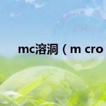 mc溶洞(m cro)