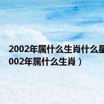 2002年属什么生肖什么星座（2002年属什么生肖）