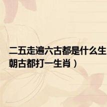 二五走遍六古都是什么生肖（六朝古都打一生肖）