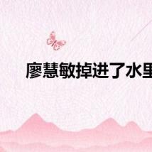 廖慧敏掉进了水里