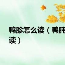 鸭胗怎么读（鸭肫怎么读）