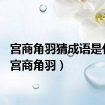 宫商角羽猜成语是什么（宫商角羽）
