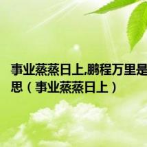 事业蒸蒸日上,鹏程万里是什么意思(事业蒸蒸日上)