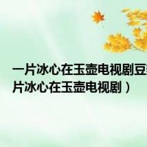 一片冰心在玉壶电视剧豆瓣（一片冰心在玉壶电视剧）
