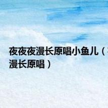 夜夜夜漫长原唱小鱼儿（夜夜夜漫长原唱）