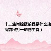 十二生肖锦绣前程是什么动物（锦绣前程打一动物生肖）