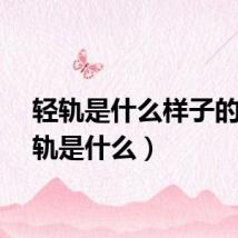 轻轨是什么样子的（轻轨是什么）