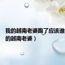 我的越南老婆跑了应该谁管（我的越南老婆）