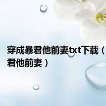 穿成暴君他前妻txt下载（穿成暴君他前妻）