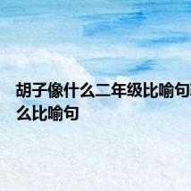 胡子像什么二年级比喻句鞋像什么比喻句